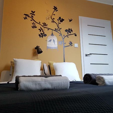 Black Rose Apartament Targi 3 Km, F-Ry Vat Kielce Kültér fotó