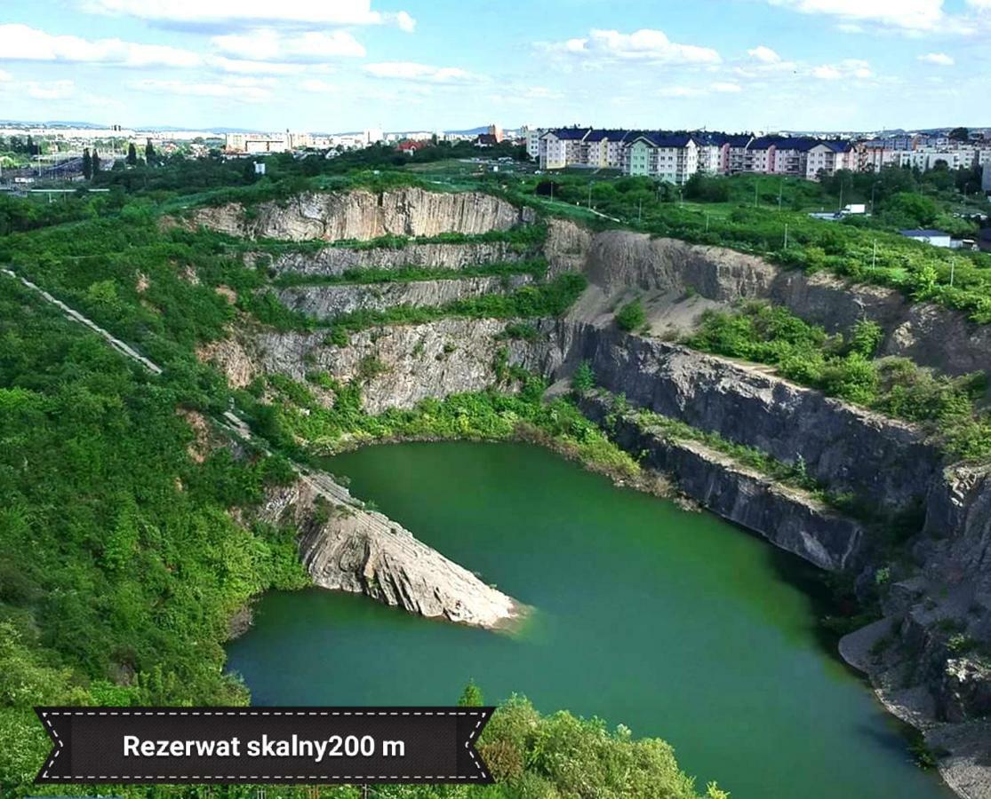 Black Rose Apartament Targi 3 Km, F-Ry Vat Kielce Kültér fotó